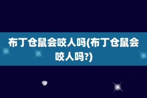 布丁仓鼠会咬人吗(布丁仓鼠会咬人吗?)