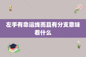 左手有命运线而且有分支意味着什么