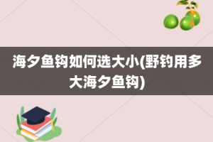 海夕鱼钩如何选大小(野钓用多大海夕鱼钩)