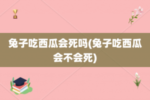 兔子吃西瓜会死吗(兔子吃西瓜会不会死)