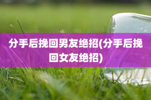 分手后挽回男友绝招(分手后挽回女友绝招)