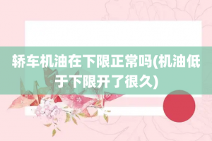 轿车机油在下限正常吗(机油低于下限开了很久)