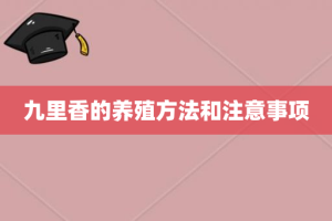 九里香的养殖方法和注意事项