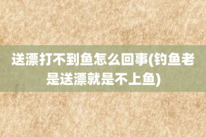 送漂打不到鱼怎么回事(钓鱼老是送漂就是不上鱼)