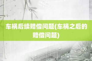 车祸后续赔偿问题(车祸之后的赔偿问题)