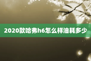 2020款哈弗h6怎么样油耗多少