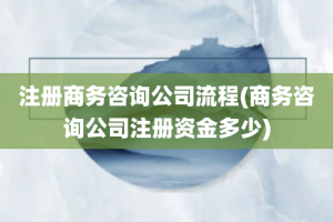 注册商务咨询公司流程(商务咨询公司注册资金多少)