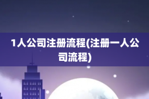 1人公司注册流程(注册一人公司流程)