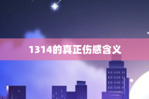 1314的真正伤感含义