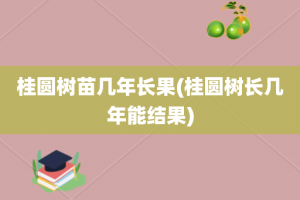 桂圆树苗几年长果(桂圆树长几年能结果)