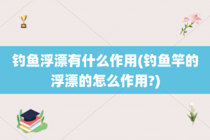 钓鱼浮漂有什么作用(钓鱼竿的浮漂的怎么作用?)