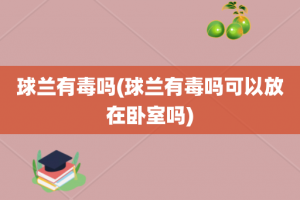 球兰有毒吗(球兰有毒吗可以放在卧室吗)