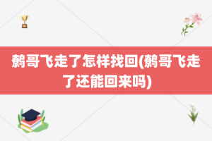 鹩哥飞走了怎样找回(鹩哥飞走了还能回来吗)