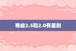 奇峻2.5和2.0有差别