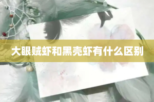 大眼贼虾和黑壳虾有什么区别