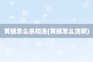 黄鳝怎么杀和洗(黄鳝怎么洗啊)