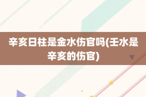 辛亥日柱是金水伤官吗(壬水是辛亥的伤官)