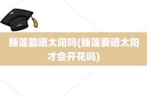 睡莲能晒太阳吗(睡莲要晒太阳才会开花吗)
