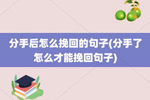 分手后怎么挽回的句子(分手了怎么才能挽回句子)