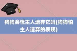 狗狗会怪主人遗弃它吗(狗狗怕主人遗弃的表现)