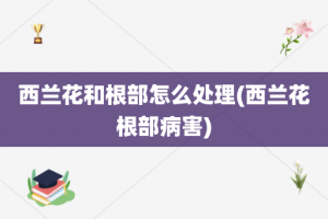 西兰花和根部怎么处理(西兰花根部病害)