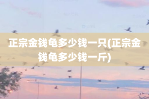 正宗金钱龟多少钱一只(正宗金钱龟多少钱一斤)
