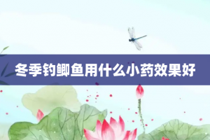 冬季钓鲫鱼用什么小药效果好