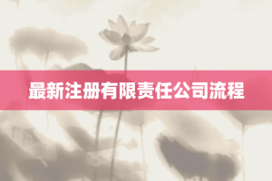 最新注册有限责任公司流程