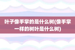 叶子像手掌的是什么树(像手掌一样的树叶是什么树)
