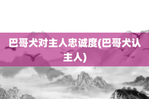 巴哥犬对主人忠诚度(巴哥犬认主人)