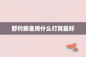 野钓鲫鱼用什么打窝最好