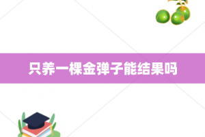 只养一棵金弹子能结果吗