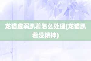 龙猫虚弱趴着怎么处理(龙猫趴着没精神)
