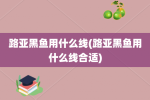 路亚黑鱼用什么线(路亚黑鱼用什么线合适)