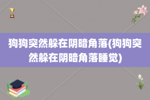 狗狗突然躲在阴暗角落(狗狗突然躲在阴暗角落睡觉)