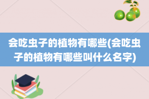 会吃虫子的植物有哪些(会吃虫子的植物有哪些叫什么名字)
