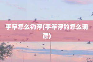 手竿怎么钓浮(手竿浮钓怎么调漂)