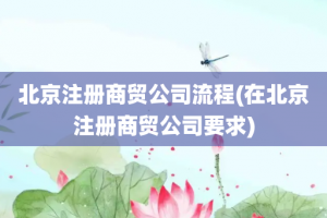北京注册商贸公司流程(在北京注册商贸公司要求)