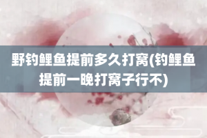 野钓鲤鱼提前多久打窝(钓鲤鱼提前一晚打窝子行不)