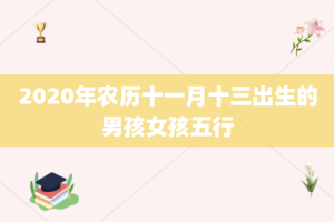 2020年农历十一月十三出生的男孩女孩五行