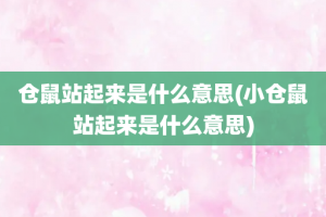 仓鼠站起来是什么意思(小仓鼠站起来是什么意思)