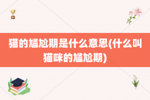 猫的尴尬期是什么意思(什么叫猫咪的尴尬期)