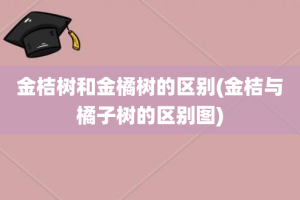 金桔树和金橘树的区别(金桔与橘子树的区别图)