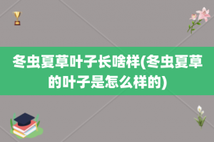 冬虫夏草叶子长啥样(冬虫夏草的叶子是怎么样的)