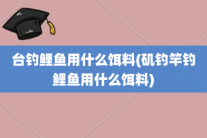 台钓鲤鱼用什么饵料(矶钓竿钓鲤鱼用什么饵料)