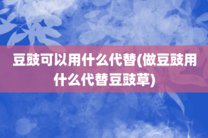 豆豉可以用什么代替(做豆豉用什么代替豆豉草)