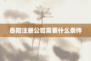 岳阳注册公司需要什么条件