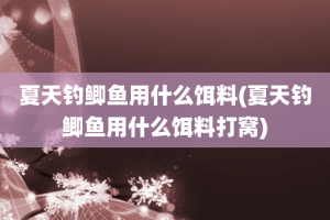 夏天钓鲫鱼用什么饵料(夏天钓鲫鱼用什么饵料打窝)
