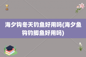 海夕钩冬天钓鱼好用吗(海夕鱼钩钓鲫鱼好用吗)