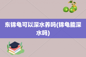 东锦龟可以深水养吗(锦龟能深水吗)